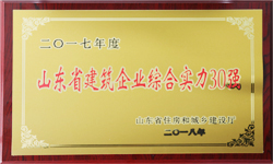 山東泰鵬智能家居股份有限公司